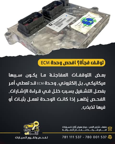 كمبيوتر المحرك (ECM): أخطاء البرمجة والانطفاء المفاجئ