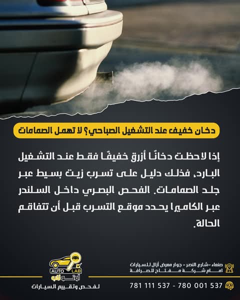 جلود البلوف (الصبابات): علامات التلف والدخان الأزرق الصباحي