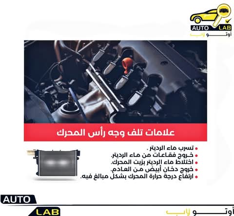 وجه الرأس (الجوان): أنواعه الثلاثة وأسباب تلفه وعلاماته