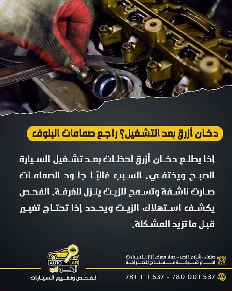 جلود البلوف (الصبابات): علامات التلف والدخان الأزرق الصباحي