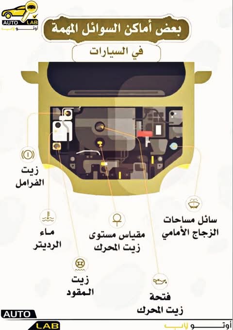 ما الذي تفحصه في سيارتك دورياً؟ دليل الفحص الشهري والدوري